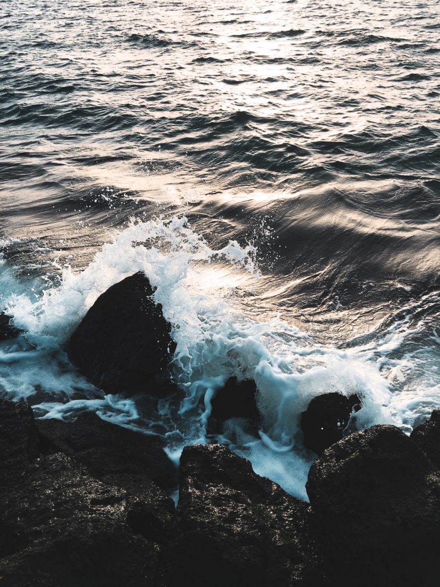 Photo by K H A L E D